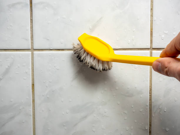 Best Post-Remediation Services in Poplar Plains, CT